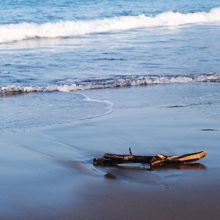 伊豆の宿　静海 Ito  Ngoại thất bức ảnh